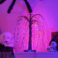 🎃 50% RABATT NU! 🌙 Spooky Elegans i Varje Gren – Svart Trädljus med Lila & Orange LED – Perfekt för Halloween & Mysig Stämning ✨