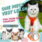 🐱 50% RABATT NU! ☀️ 2-i-1 Sele & Bånd – Andningsbart Nett, Lettvekt & Reflekterende – Sikker Passform, Enkel På/av for Sommarturer 🌙