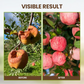 🌍 50% RABATT NU! 🌿Jordförbättring – Naturlig Revitalisering för Starka Växter & Höga Skördar! ✨