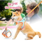 🐱 50% RABATT NU! ☀️ 2-i-1 Sele & Bånd – Andningsbart Nett, Lettvekt & Reflekterende – Sikker Passform, Enkel På/av for Sommarturer 🌙