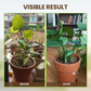 🌍 50% RABATT NU! 🌿Jordförbättring – Naturlig Revitalisering för Starka Växter & Höga Skördar! ✨