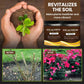 🌍 50% RABATT NU! 🌿Jordförbättring – Naturlig Revitalisering för Starka Växter & Höga Skördar! ✨