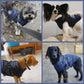 🐾Vattentät vinterjacka för hund med inbyggd sele