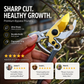 ✂️ 50 % RABATT NU! 🌿 Kraftig sekatör med SK5-skär – kompakt, gummerat grepp & redo för trädgården 🔪