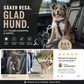 🐶 50 % RABATT NU! 🚗 2-i-1 hundbilssäkerhetsbälte och promenadkoppel – stabil & slitstark – perfekt för bilresor och utomhuspromenader 🌳