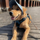 🐶 50% RABATT NU! 🧢 Hundkeps med Justerbart Band & Öronhål – Solskyddande & Söt Design ☀️