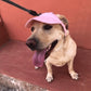 🐶 50% RABATT NU! 🧢 Hundkeps med Justerbart Band & Öronhål – Solskyddande & Söt Design ☀️