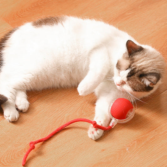 🐶 50% RABATT NU! 🐱 Smart Automatisk Rullande Husdjursboll – Interaktiv & Hinderundvikande 🐈