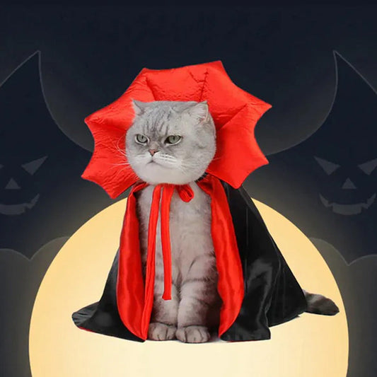 Halloween Creative Cape Pet Costume