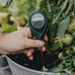 🌱 50 % RABATT NU! 💧 Professionell jordfuktighetsmätare – exakta avläsningar & färgkodsskala – perfekt för inomhus- och utomhusväxter 🏡