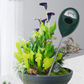 🌱 50 % RABATT NU! 💧 Professionell jordfuktighetsmätare – exakta avläsningar & färgkodsskala – perfekt för inomhus- och utomhusväxter 🏡