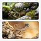 🦖 50% RABATT NU! 🦕 Roligt & Lärorikt Dinosaurieutgrävningskit – Gräv, Bygg & Lär – Innehåller Fossil, Verktyg & Faktakort – Perfekt För Nyfikna Unga Paleontologer 🎁