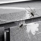 Realistiska spindelmagneter för kylskåp, garageportar och bilar