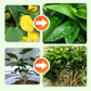 🌱 50% RABATT 🌿 | Långsamt Frigörande Gödselpinnar – För Blommor, Grönsaker & Krukväxter