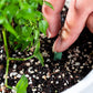🌱 50% RABATT 🌿 | Långsamt Frigörande Gödselpinnar – För Blommor, Grönsaker & Krukväxter