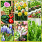 🌱 50% RABATT 🌿 | Långsamt Frigörande Gödselpinnar – För Blommor, Grönsaker & Krukväxter