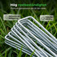 🌱 50 % RABATT NU! 🔨 Trädgårdshäftstift i galvaniserat stål – komplett kit med märlor, brickor & borttagningsverktyg 🛡️