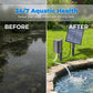 🌞 50% RABATT NU! 💧 Solcellsdriven Pondluftare med Luftpump – Solcellsdriven, Enkel Installation – Främjar Frisk Fisk & Klart Vatten 🐟