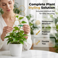 🌿 50% RABATT NU! 🐝 Bikakeformat Växtspaljé – Rostskyddad, Stapelbar & Enkel Installation – Perfekt För Inomhusklättrande Lianer 🏡