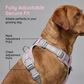 🐕 50 % RABATT NU! 🐾 No-pull hundsele – bekväm, säker & stoppar dragandet – njut av lugna promenader – perfekt för alla raser 🛡️