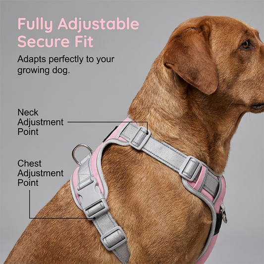 🐕 50 % RABATT NU! 🐾 No-pull hundsele – bekväm, säker & stoppar dragandet – njut av lugna promenader – perfekt för alla raser 🛡️