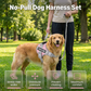 🐕 50 % RABATT NU! 🐾 No-pull hundsele – bekväm, säker & stoppar dragandet – njut av lugna promenader – perfekt för alla raser 🛡️