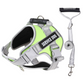 🐕 50 % RABATT NU! 🐾 No-pull hundsele – bekväm, säker & stoppar dragandet – njut av lugna promenader – perfekt för alla raser 🛡️