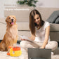 🐾 50% RABATT NU! 🐶 2-i-1 Interaktivt Pusselspel för Hundar & Långsam Matskål – Hälsosammare Ätande & Rolig Belöning 🧩