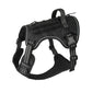 🐕 50% RABATT NU! 🛡️ Robust Outdoor-Hundsele i Västform – Justerbar & Andningsbar – Perfekt för Vandring & Vardag 🏃