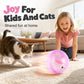 🐾 50% RABATT NU! 🎾 Interaktiv Plysch Djur Rullande Boll – Elektrisk Rullande Leksak – Perfekt för Barn & Katter – Söt Djurstyling & Säker Design 🐱