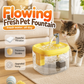 🐱 50% RABATT NU! 💧 Tyst Husdjursdricksfontän med Livsmedelsgodkänd PET-skål – Cirkulerande Flöde & Transparent Behållare – Perfekt för Katter & Små Hundar
