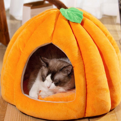 🐾 50 % RABATT NU! 🛏️ Varm & mysig halvinklädd djurbädd – trygg sovplats, allårskomfort & mjuk plysch – perfekt för små hundar och katter 💤