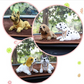 🐶 50 % RABATT NU! 🚗 Charmig hund-bobblehead – nickar med på varje bilresa – perfekt för instrumentbrädan – sprider glädje och minskar trötthet 🎀