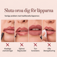 💄 50 % RABATT NU! 🎨 12-färgat matt läppkonturpenna-set – 12 nyanser, matt finish & smutsavvisande – perfekt för vardag och fest 💋