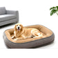🐾 50 % RABATT NU! 🛏️ Ergonomisk hundsäng – bekväm året runt med stödjande skumbas & molnlik omfamning ☁️