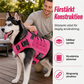 🐕 50 % RABATT NU! 🦺 Hundsele i slitstarkt Oxfordtyg – vattenavvisande, förstärkt & bekväm – perfekt för promenader och äventyr 🌲