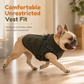 🐕 50 % RABATT NU! ❄️ Varm vinterjacka för hund med reflexband & sele – teddyfleece för små och medelstora hundar ✨