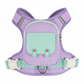 🐕 50 % RABATT NU! 🎒 Vadderad väst med integrerad ryggsäck – ergonomiskt bröststöd & reflekterande remmar för små hundar 🐾