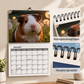 🐹 50 % RABATT NU! 📅 Ett helt år med söta marsvin – charmig väggkalender för 2027 med 12 månaders bedårande bilder ✨