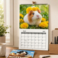 🐹 50 % RABATT NU! 📅 Ett helt år med söta marsvin – charmig väggkalender för 2027 med 12 månaders bedårande bilder ✨