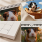 🐹 50 % RABATT NU! 📅 Ett helt år med söta marsvin – charmig väggkalender för 2027 med 12 månaders bedårande bilder ✨