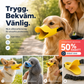 🐕 50 % RABATT NU! 🦆 Söt anknäbb-silikonmuzzle för hund – mjuk, bekväm & skyddar dig och dina lurviga vänner 🐾